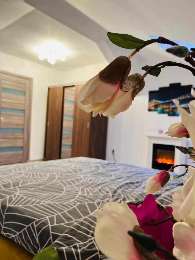 ブラショフZizi'S House Gariiアパートメント エクステリア 写真