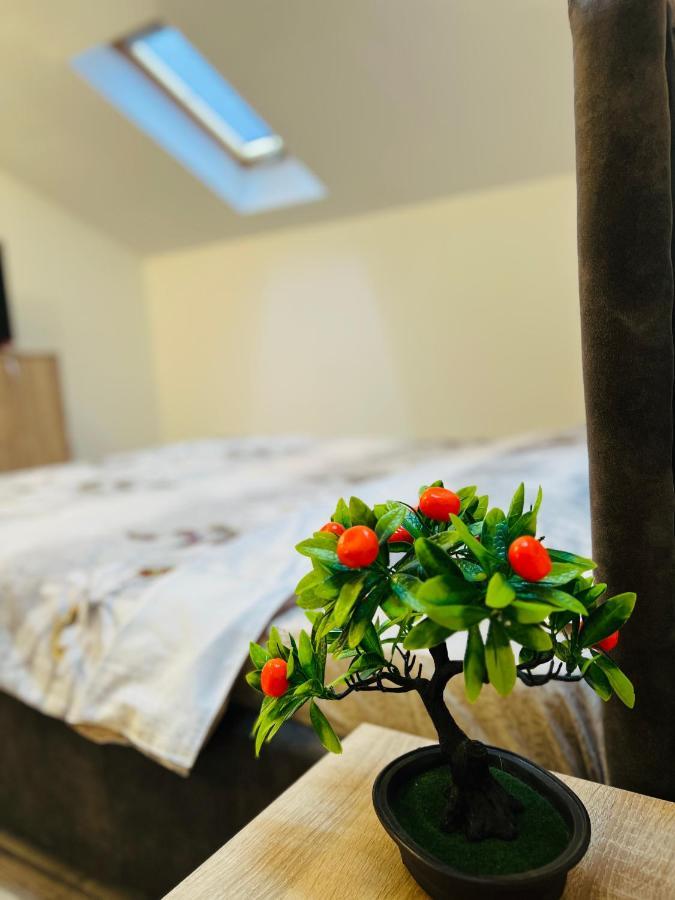 ブラショフZizi'S House Gariiアパートメント エクステリア 写真